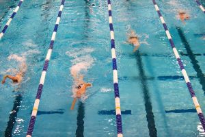 Három magyar úszó kapott meghívást a FINA új versenysorozatára